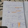 Mohammedelm