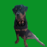 Garitro