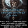 Marceli15