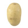 Potato