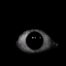 mu568