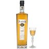 fratmtemplare23
