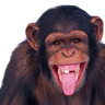 selbmurk