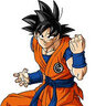 gokupro45455
