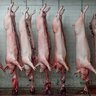 slaughterhouse