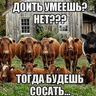 kegapiva