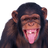 selbmurk